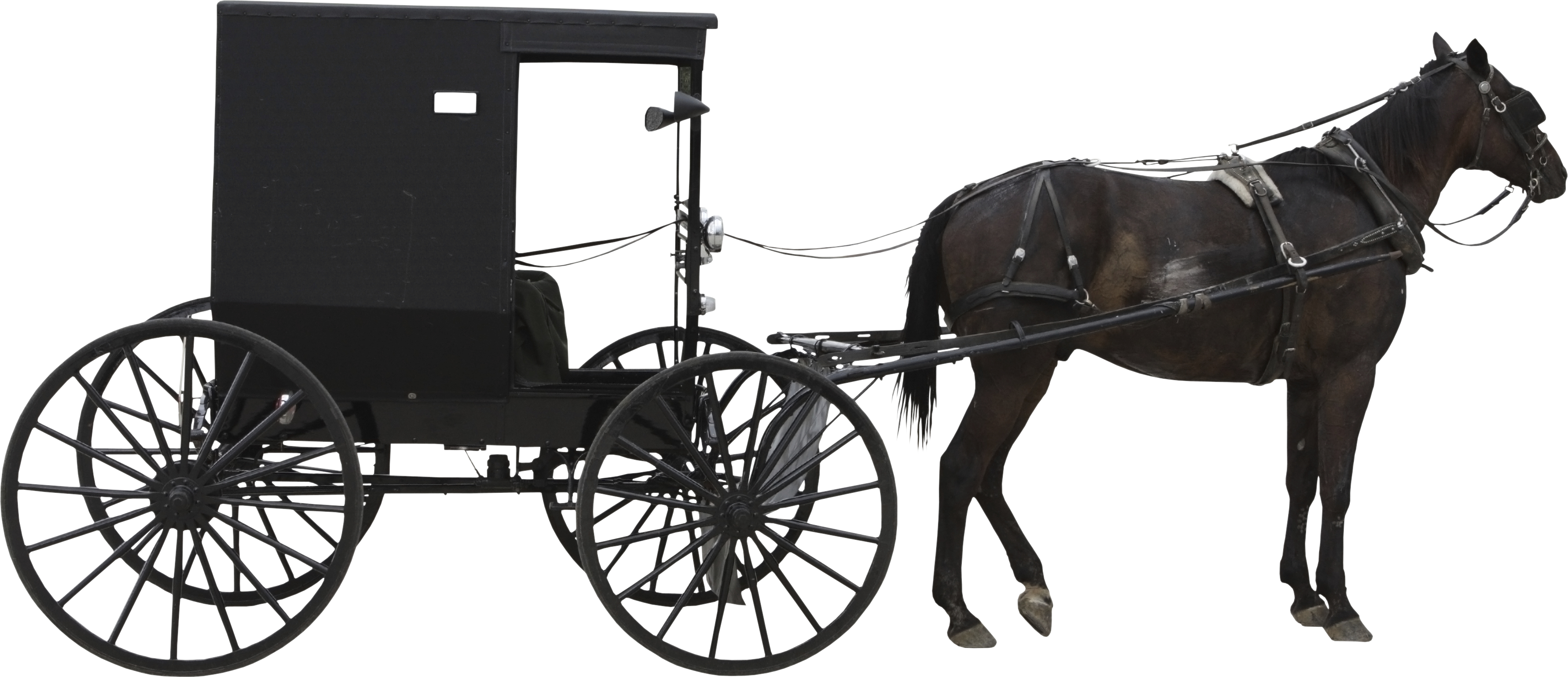 clipart horse and cart - photo #42